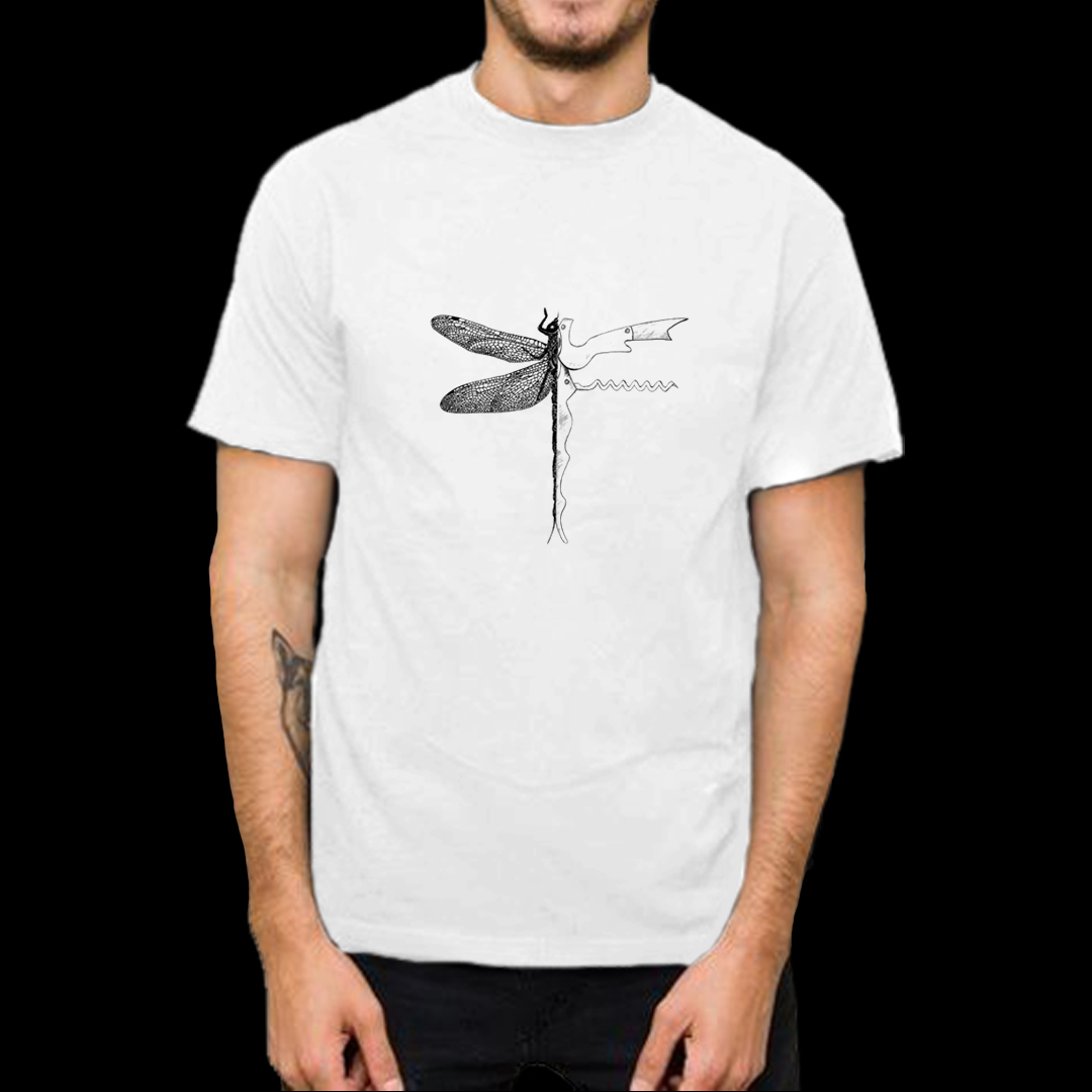 Dragonandfly1