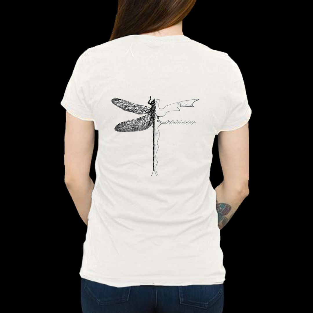 Dragonandfly1